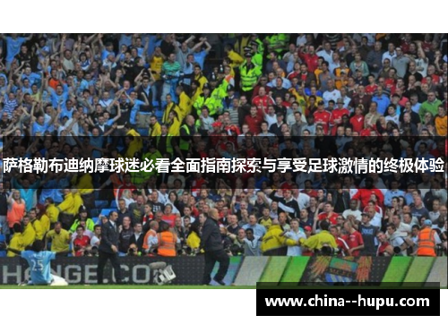萨格勒布迪纳摩球迷必看全面指南探索与享受足球激情的终极体验