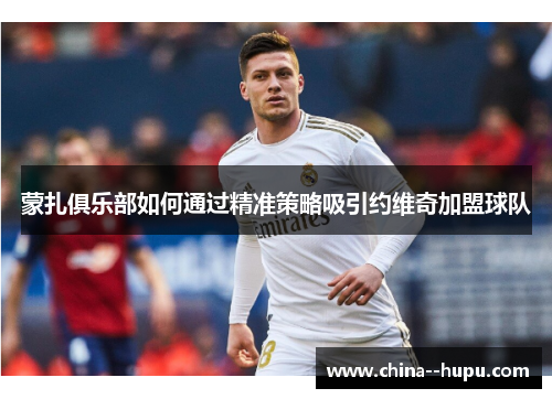 蒙扎俱乐部如何通过精准策略吸引约维奇加盟球队 蒙扎俱乐部如何通过精准策略吸引约维奇加盟球队